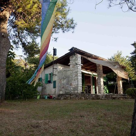 Holiday Home Dajla 35 Novigrad  Exterior photo