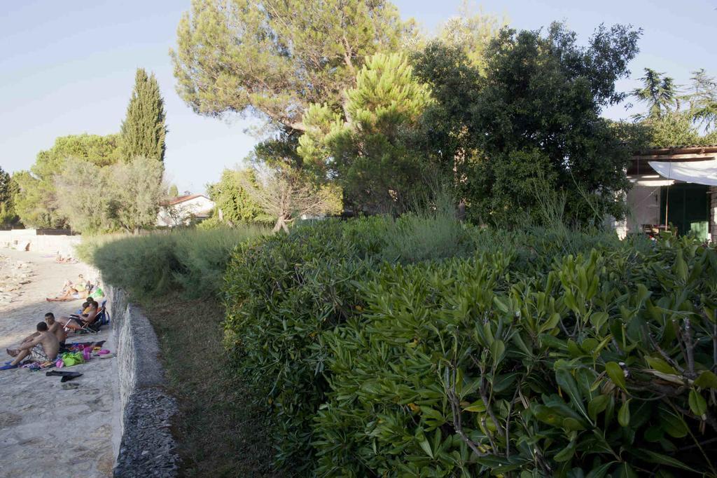 Holiday Home Dajla 35 Novigrad  Exterior photo