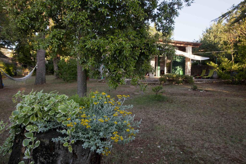 Holiday Home Dajla 35 Novigrad  Exterior photo